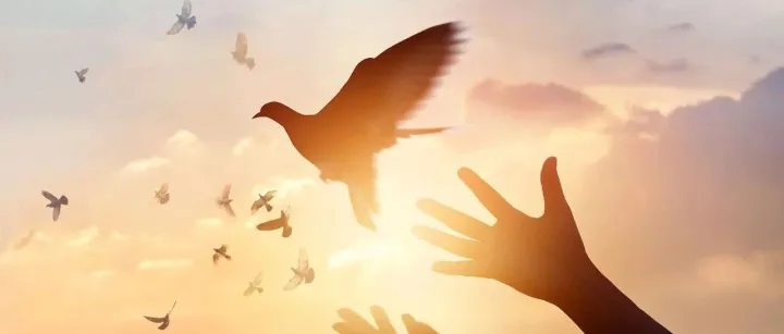 别让“新人期”成为“松懈期”！给自己定个目标，让价值跑赢工资