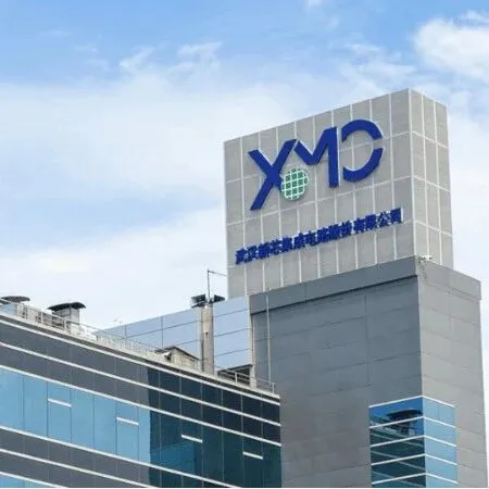 武汉<em>新</em>芯IPO恢复<em>审核</em>