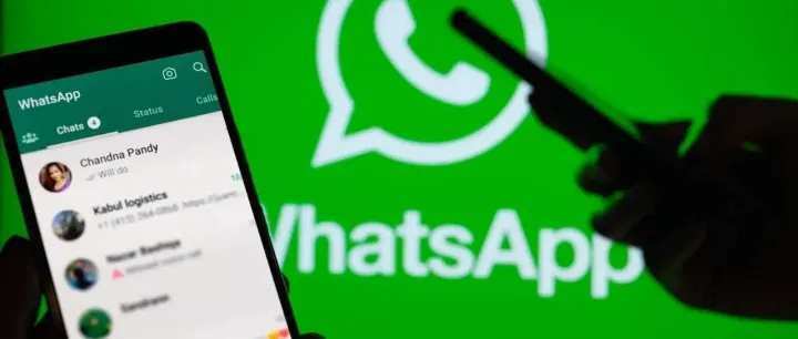 做外贸必须掌握WhatsApp开发客户，回复率超高！