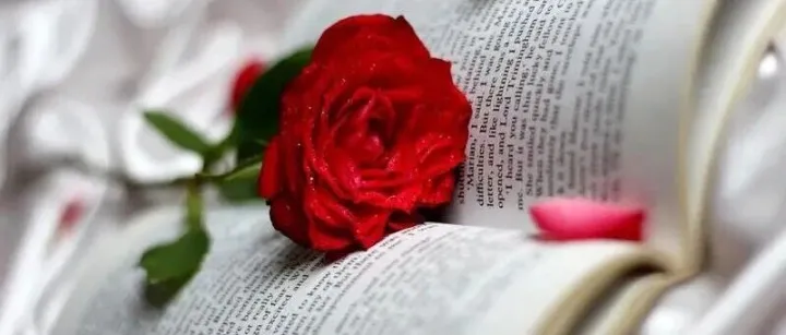 526条英语实用短语，建议收藏