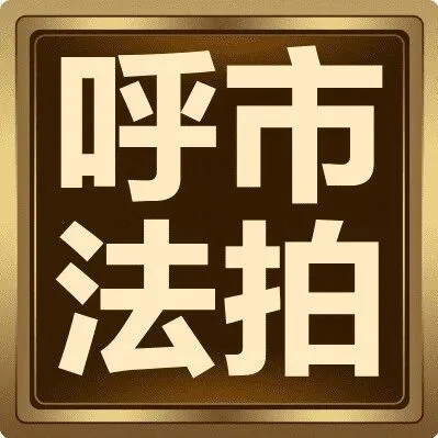 呼和浩特10家法院集结京东，青城法拍专场直播吸引超20万人观看
