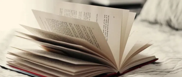 实用！英语常用单词+短语汇总