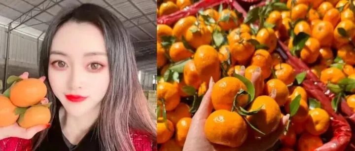 日发4车砂糖橘，年销超2000万，货卖10多个国家的90后代办分享出口“生意经”