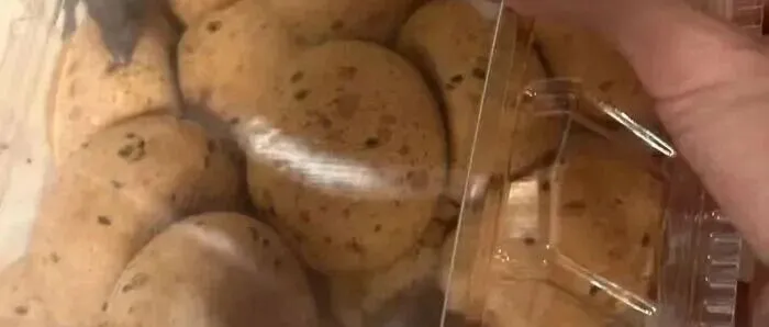 山姆麻薯盒内出现活鼠，当事人：打开那一刻，人都吓蒙了