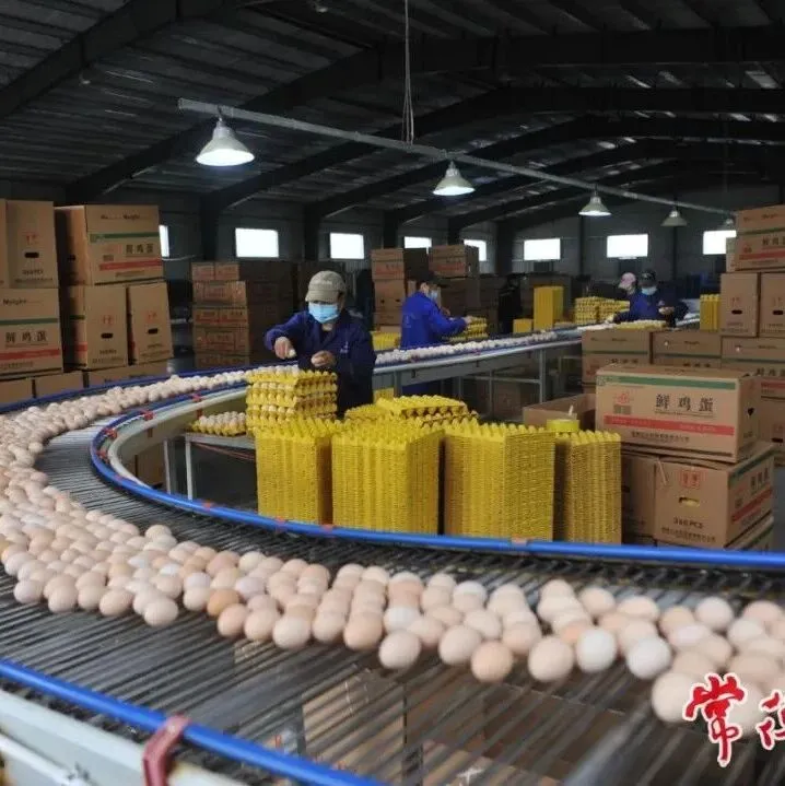 【牧渔<em>常德</em>】<em>常德</em>畜牧水产业绘就高质量发展新图景