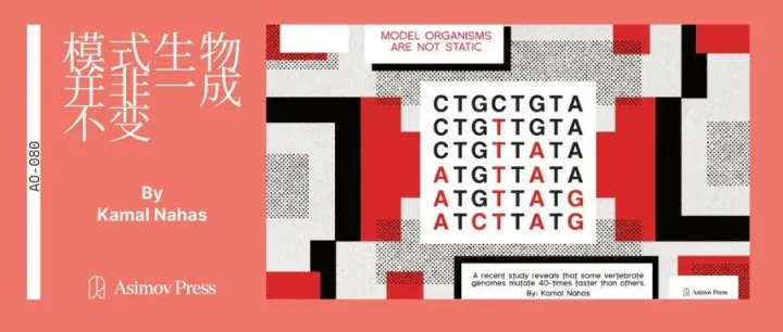 模式生物的基因组突变可能正在影响实验结果｜Asimov Press