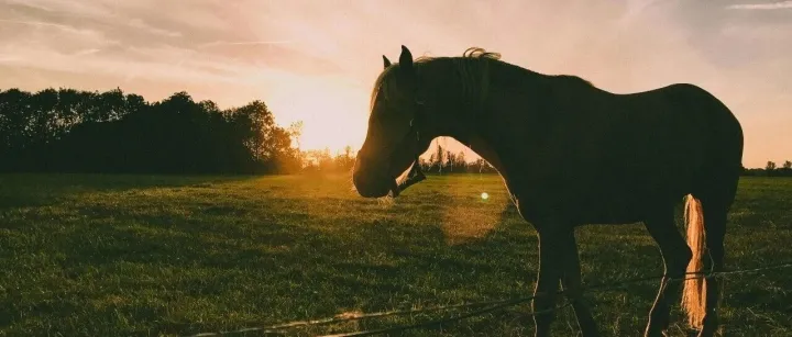 当Off&Relax半年爆涨102%，我们该向珀莱雅学什么？