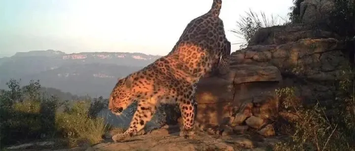 公益寶貝嚴選！“XIN益佰計劃”開啟，招募公益好項目