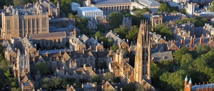 <em>PIVOT</em>｜让未来，从思维的“转向”开始