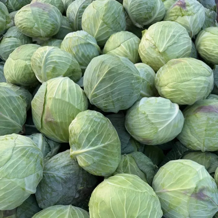 云知声、追一科技、悦智输了！150万元大单：科大讯飞中标