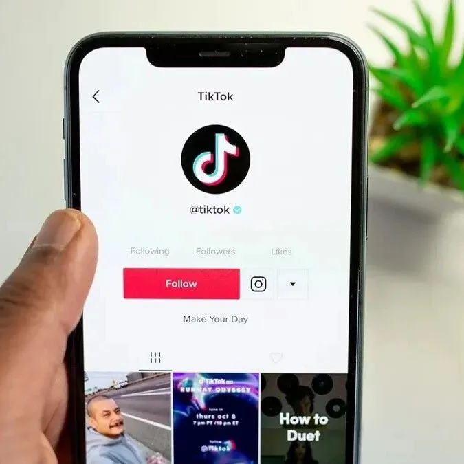 成年人口覆盖约 115%：在哈还不用TikTok做生意是不是亏大了？