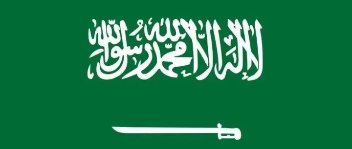 沙特出入境新規(guī)：工作簽&居住證這些紅線勿碰，違者或永久禁止入境！