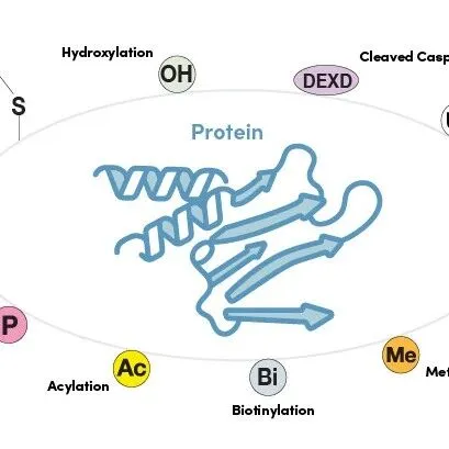 【推荐产品】CST || 突破<em>手动</em>瓶颈！用PTMScan®<em>自动化</em>工作流程产出海量PTM<em>数据</em>