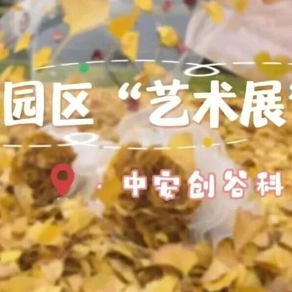超出片！快来打卡园区这场“艺术展”！