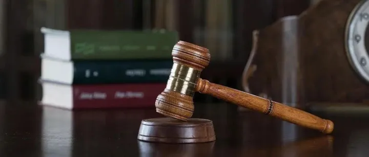 Zhihang's “Statement of <em>Rights</em> Protection"