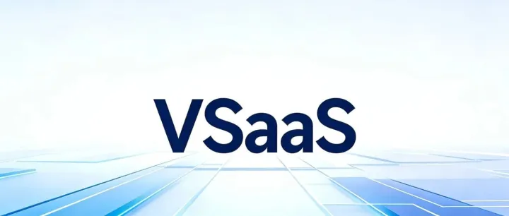 为什么说，VSaaS才是中国SaaS的未来？