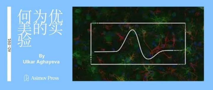怎样的实验，配得上“优美”二字？｜Asimov Press