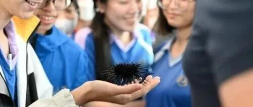 GPTBots.ai赋能 Meta <em>Dot</em>，重塑香港STEAM教育新范式