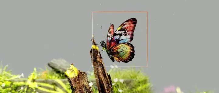 同行画面怎么爆了？来，用AI多模态分析爆款情境