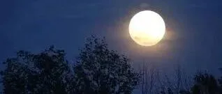 无界月光  - <em>紫</em>月