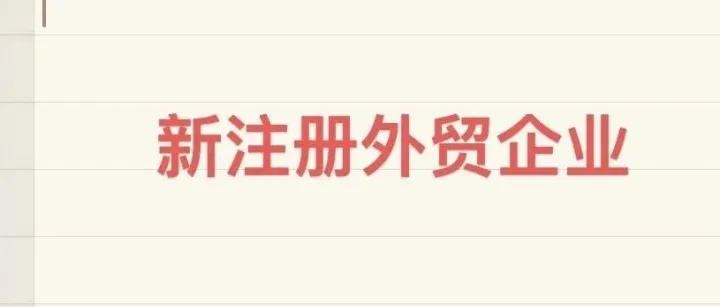 新注册的外贸企业出口资格备案全流程详解