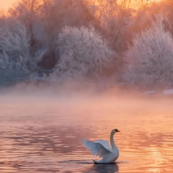 冬季雪景的天花板，这里是就你梦里的场景