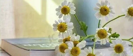 523条英语速记短语表，每天记一点