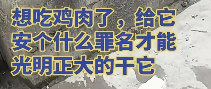 给我一个吃鸡的理由