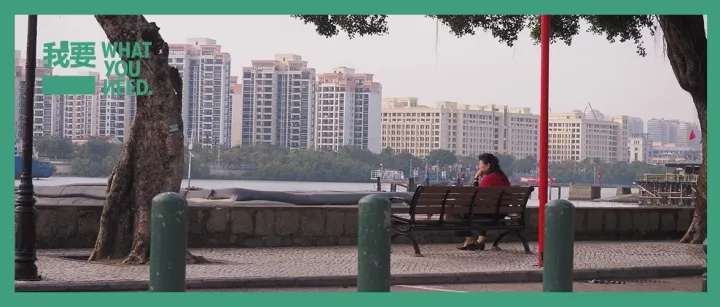 广州，今年你让我伤心了10次。