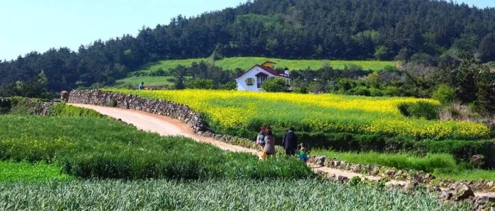 3年后罚案例！所谓赛维模式2.0，全球买店铺全球卖，转口贸易店铺离境采购，店铺采销都存在巨大涉税风险