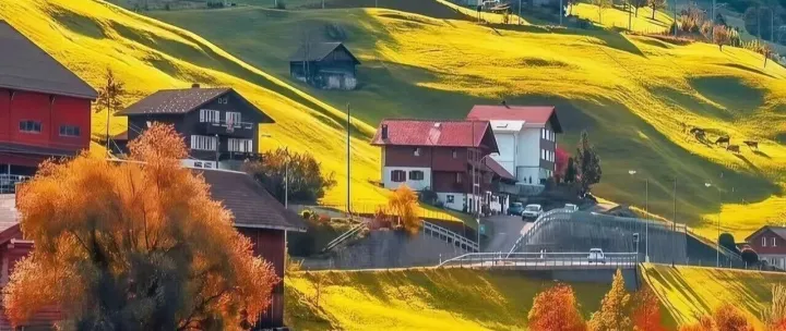 欧洲空运双清到门服务 | 一站式门到门物流解决方案 (DAP/DDU/DDP)