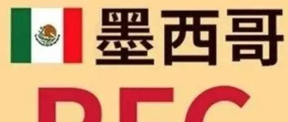墨西哥RFC稅號注冊詳細指南（2025年最新版）