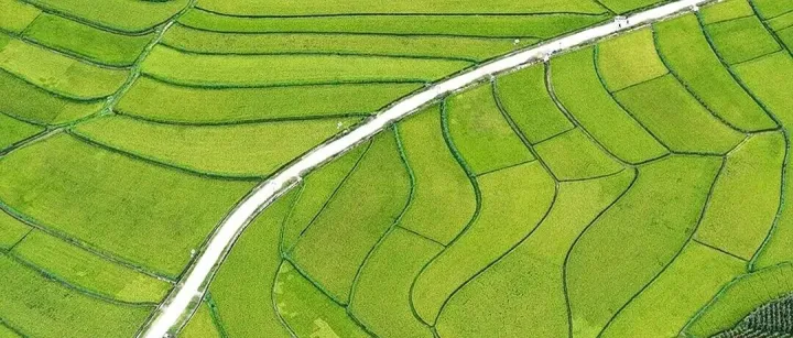 进境农产品境外企业申报要求知多少