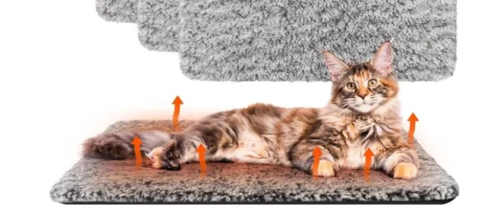 越冷越好卖，宠物保暖<em>单</em>品成出海<em>新</em>爆<em>款</em>