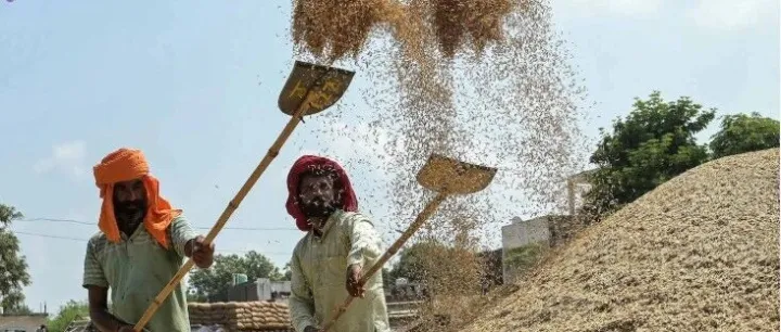 特朗普威胁对印度大米征收关税，此前印度政府向印度提供120亿美元农业援助