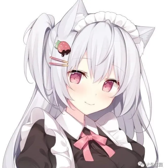 UE4内存优化知识点整理