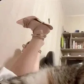 看看我的<em>大</em><em>长</em><em>腿</em>