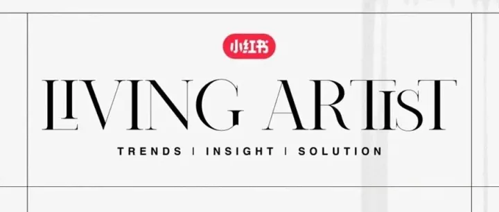 Solution 解决方案｜2025小红书家生活双11案例精选