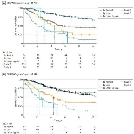 染色体1p缺失和1q扩增在脑膜瘤分级中的应用