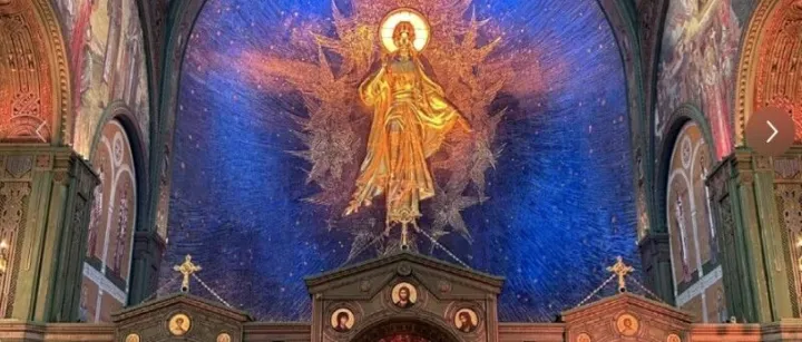 入乡随俗：遵循这些社交礼仪，丝滑适应俄罗斯留学生活！