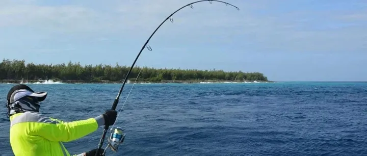 你在社媒接到过多大的单？一起进来刷新一下记录