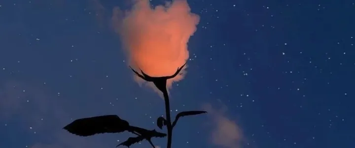 巴西电商的终局是什么？