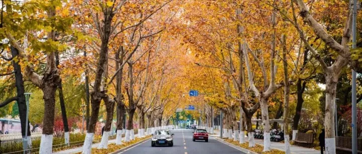 时笺缓展，邀君共赏一城斑斓美景