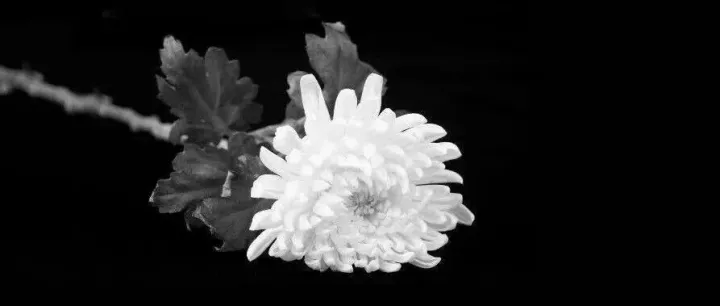 赵<em>柏林</em>院士逝世