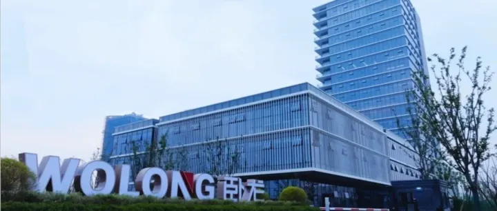 卧龙电驱：从中国龙头到全球领袖的数字化跃迁 ——以北美CRM系统打造跨境电商新引擎