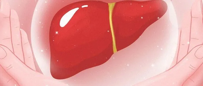 一个诱发肝癌的危险因素，很多年轻人中招！