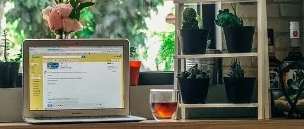 跨境<em>独立</em><em>站</em>卖仿牌怎么<em>推广</em>？