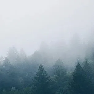 泛微OA | 农林渔牧<em>行业</em><em>解决方案</em>