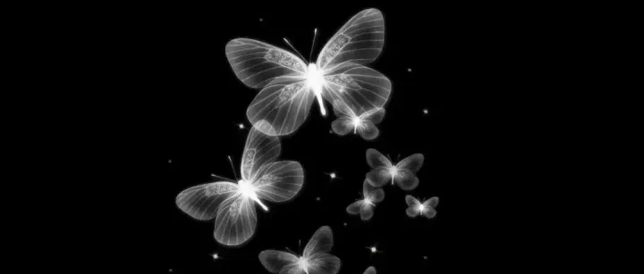 蒙古政府主要网站、平台和黄页