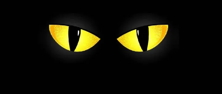 刚刚！亚马逊宣布仓储模式大变革！